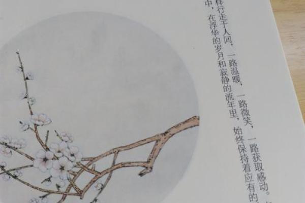 水命之人的颜色之道：让生命更加丰盈的色彩选择