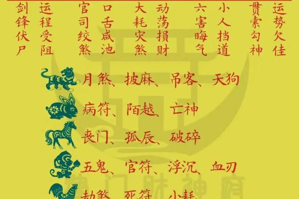 2024年属什么生肖？揭秘属于你的命运与运势转变！