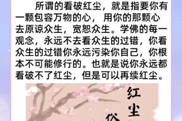 探寻发达命的本质:生活背后的秘密与哲学 探寻发达命的本质:生活背后的秘密与哲学