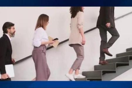 探索无命：一段关于存在与选择的奇幻旅程