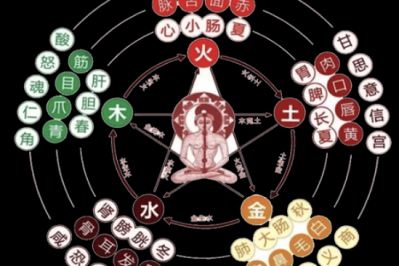 2000金龙命的命理解析：如何弥补命中之缺？