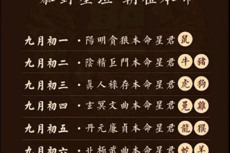 1976年是什么命月：探寻生肖与命运的奥秘