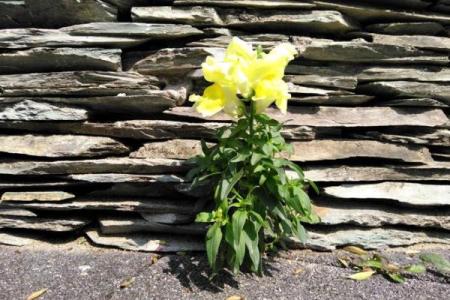 水命之人的颜色之道：让生命更加丰盈的色彩选择