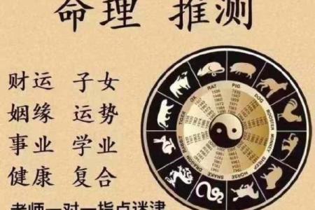 如何查询宝宝的命运与生辰八字的奥秘