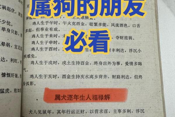 农历属狗人的命运解析:智慧与忠诚的象征 农历属狗人的命运解析:智慧与忠诚的象征