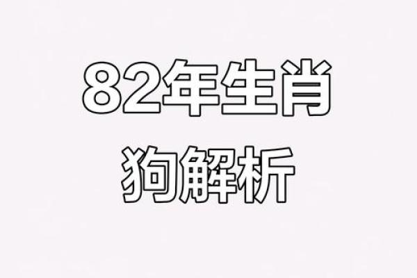 农历属狗人的命运解析:智慧与忠诚的象征 农历属狗人的命运解析:智慧与忠诚的象征