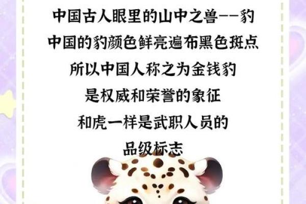 英俊动物的象征意义：揭示生命中的美好命运