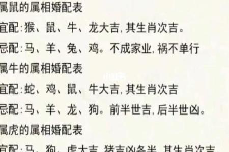 如何查询自己的属相和命理，揭开生命的奥秘！