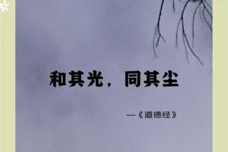 命与运的辩证关系：周文强视角下的生命之道