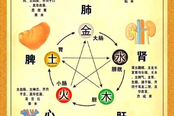 1959年出生的人命运解析：五行与性格的奇妙联系