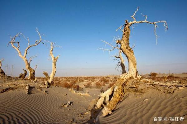 中指长于食指的命运启示：解锁人生潜力的秘密