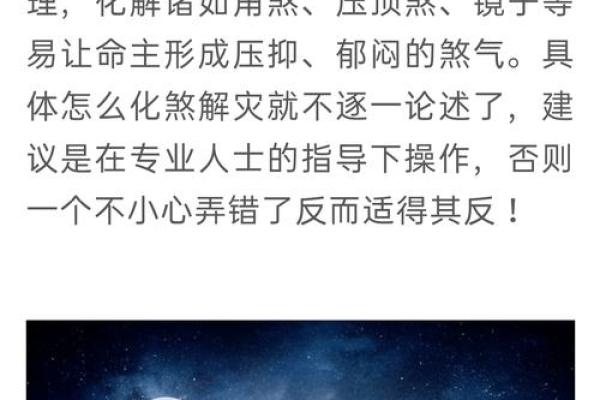 2008年老鼠年:探寻老鼠命的深层秘密与命运走向 2008年老鼠年:探寻老鼠命的深层秘密与命运走向