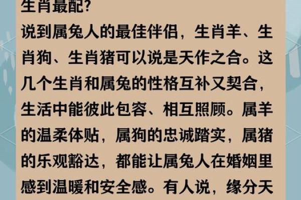 1979年的生肖与命运解析：发现属于你的幸福密码！