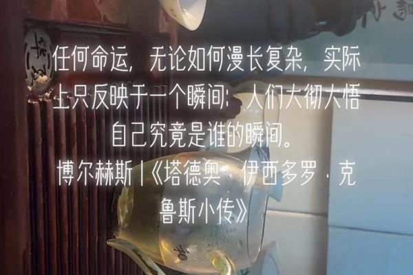 揭开热命的神秘面纱：探索其意义与价值