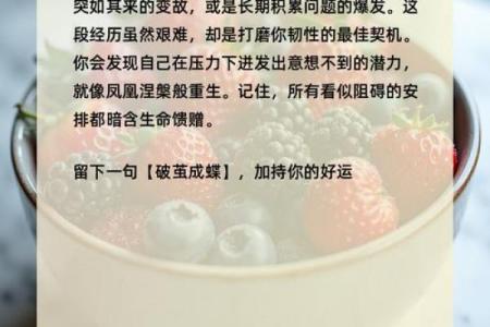 测命格：找寻你的命运轨迹与人生方向