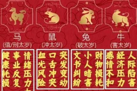 探索一九九九年的生肖命：如何影响你的性格与命运