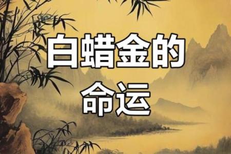 揭示白蜡金命的秘密：如何选择最适合的金属和饰品