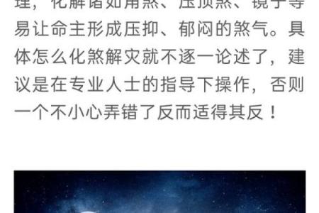 2008年老鼠年：探寻老鼠命的深层秘密与命运走向