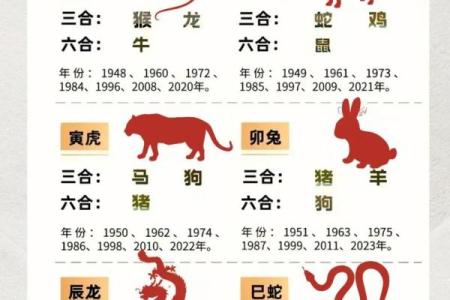 壬寅仙命与生肖相配的奥秘：探索属相的神秘联系