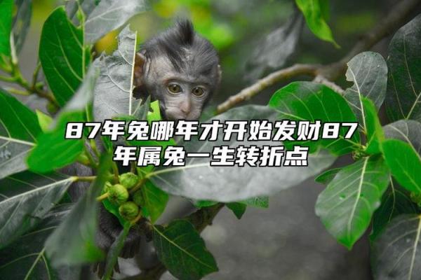 87年腊月11日出生的人命运揭秘:探寻神秘的命理之路 87年腊月11日出生的人命运揭秘:探寻神秘的命理之路