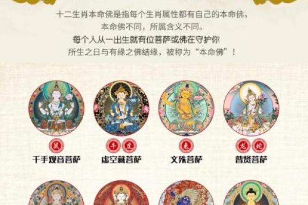 甲木命之人最喜爱的生肖揭秘：你属于哪一类？