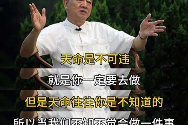 华盖入命，命理与人生的奇妙交织与启示