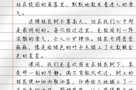 命里带桂花的深意与生活启示