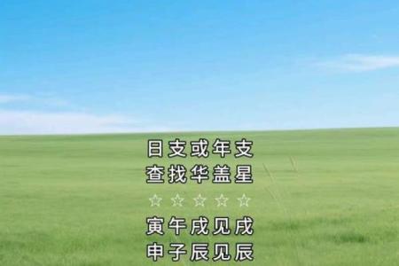 华盖入命，命理与人生的奇妙交织与启示