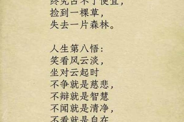 属猪40岁的人生轨迹与命运解析