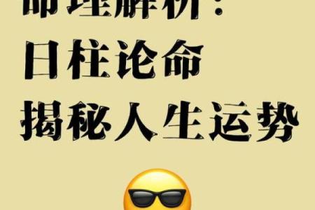 1978年腊月出生之命解析：探索命理与人生的奥秘