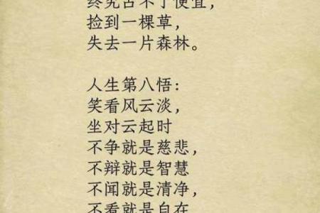 属猪40岁的人生轨迹与命运解析