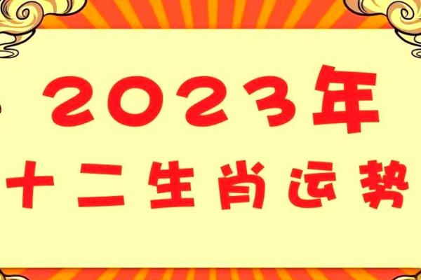 年末老鼠解析：2023年这个生肖的命运走势与运势指南
