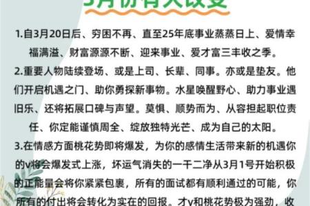 2013年属蛇之人的性格与命运解析：智慧与挑战并存的旅程