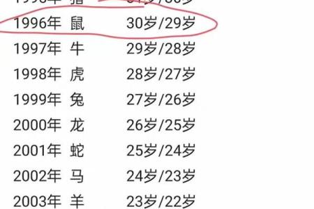 年末老鼠解析：2023年这个生肖的命运走势与运势指南