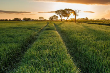 天河水与命运的奇妙羁绊：探寻最佳财富与运势的秘密