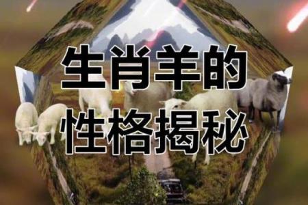 属羊的人生性格解析：温柔善良的守护者与艰难坎坷的奋斗者