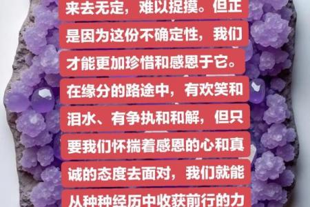 辛酉命的贵人：探寻命理中的助力与智慧之源