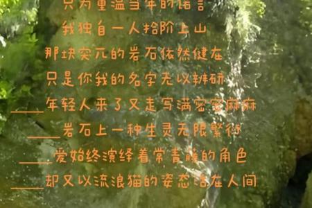 壁上土命：探寻大地之精华与自然的心灵契约