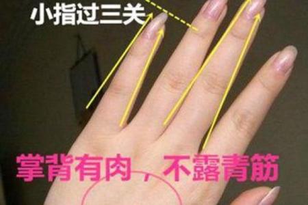 男性手背青筋的秘密：从生理特征看命运走向