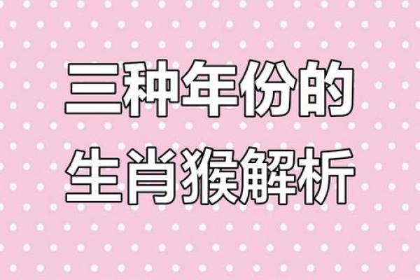 解密1992年猴年出生人的命运与性格特征 解密1992年猴年出生人的命运与性格特征