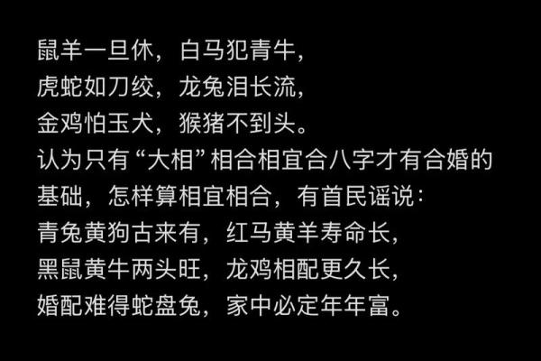 属相与命格：你属于哪一种命运之旅？