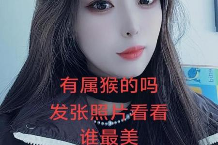 解密1992年猴年出生人的命运与性格特征